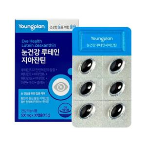 영진약품 영플랜 눈건강 루테인지아잔틴 500mg 30캡슐  3박스 3개월분