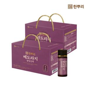 [CJ공식] 한뿌리 배도라지(100ml*10병) 2박스