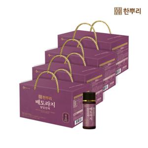 [CJ공식] 한뿌리 배도라지(100ml*10병) 4박스