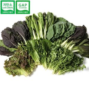 유기농 GAP인증 제철 모듬 쌈채소 1kg 당일수확 산지직송