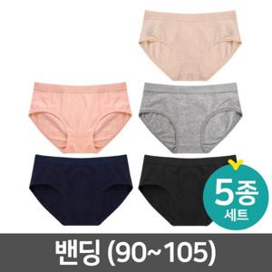 [밴딩] 5종세트 / 여성 면팬티 90~105