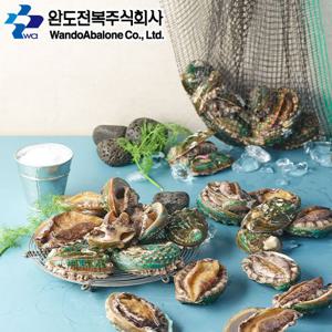 [완도전복] 중전복 14~15미 1kg