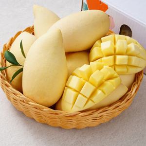 태국 골드망고 명절선물세트 5kg (10-16과)
