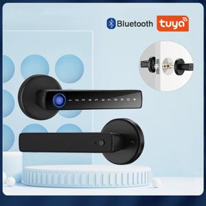 RAYKUBE M5 Tuya BLE 스마트 지문 도어 잠금 장치 비밀번호/키/IC 카드/Smartlife/Tuya APP 잠금 해제 기능이 있는 디지털 전자 잠금 장치
