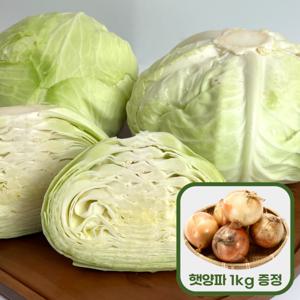 식명관 산지직송 무안 깐 양배추 2~3통(3~4kg이내) 구매시 양파 소 1kg 증정 양파 소 1kg 증정