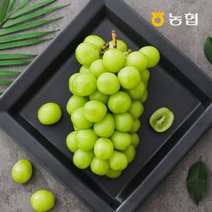 [자연맛남 샤인머스켓] 농협선별 망고포도 샤인머스켓 2kg (2-3수)