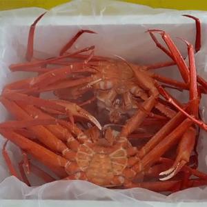 [물맛남] 속초 달큰한 홍게 실속형 3kg 9-11미(소/수율60-80%)