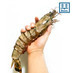 [훈훈수산] 킹타이거 새우 킹 블랙타이거새우 큰 새우 1kg