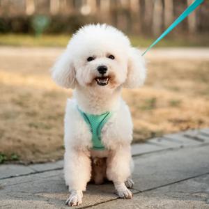 조절 가능한 강아지 고양이 하네스 조끼, 소형견 프렌치 불독 치와와 퍼그 야외 산책용 리드줄 세트