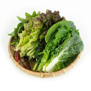 [맛군] 싱싱한 유기농 쌈채소 1kg (5~6종 랜덤발송)