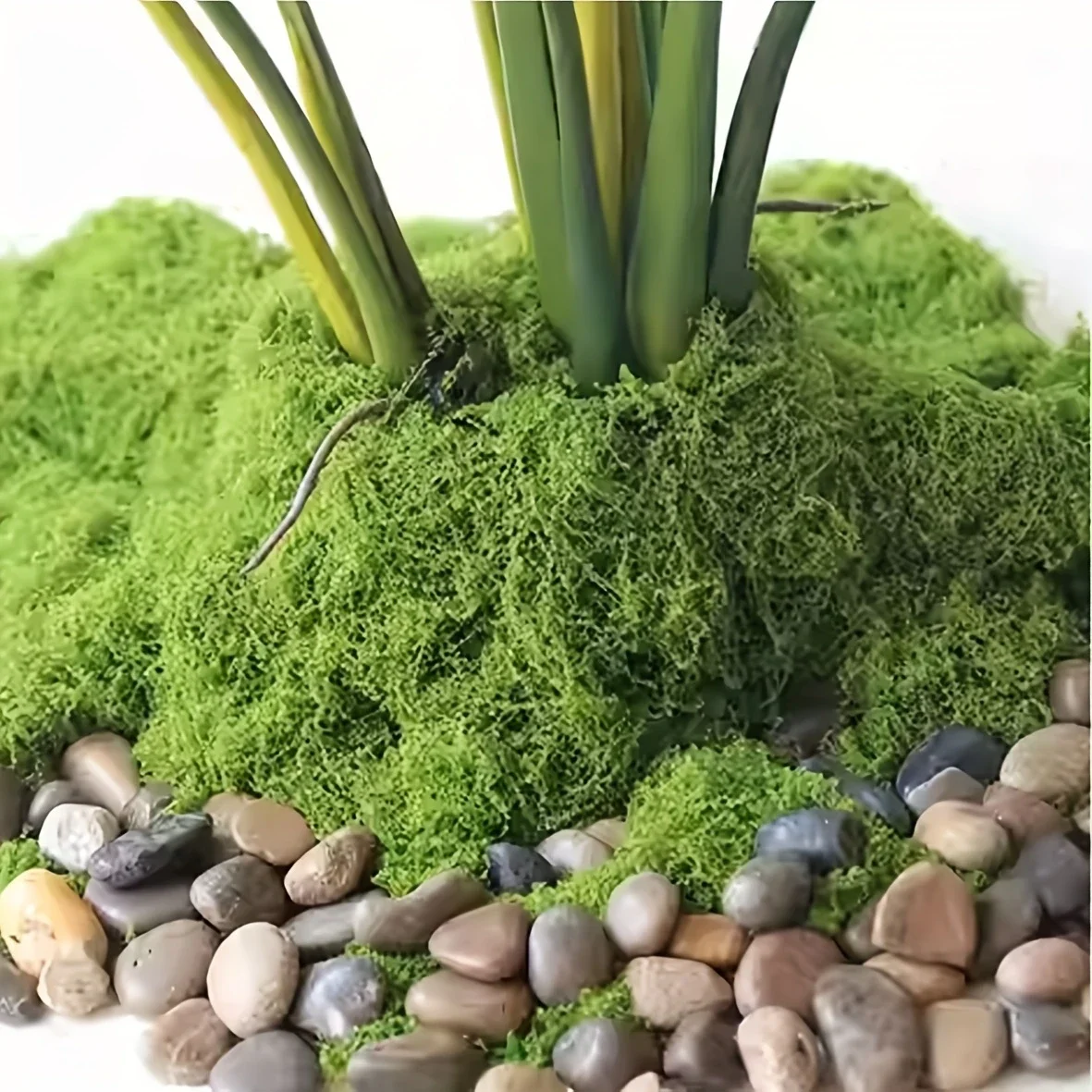 50g 가짜 이끼 DIY 공예 잔디 인공 이끼 가짜 보존 이끼 녹색 식물 홈 룸 정원 장식 미니 풍경 가짜 잔디