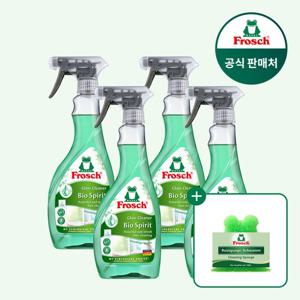[프로쉬][매일배송]독일 다목적 유리세정제 500ml 4개/공효진