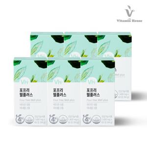 [비타민하우스] 멀티비타민 웰플러스 6박스(12개월분)