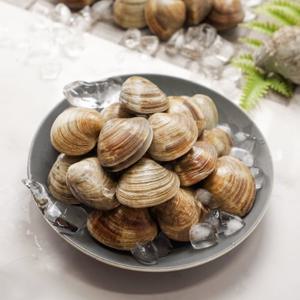 [바지락총각] 백생합(소) 1kg X 4팩 (해감완료, 백합조개)