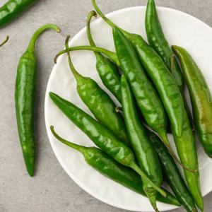 산지직송 국내산 오이고추/청양고추 1kg~10kg