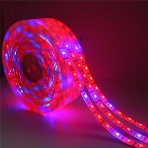 온실 수경 식물 재배용 LED 식물 램프, SMD 5050 LED 스트립, DC12V 꽃 식물 성장 조명