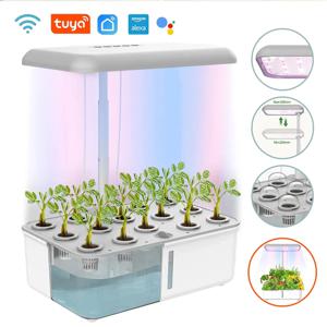 투야 와이파이 수경 재배 시스템, LED 성장 조명, 자동 펌프, 스마트 실내 원예 시스템, 허브 정원 키트, 가정용 화분