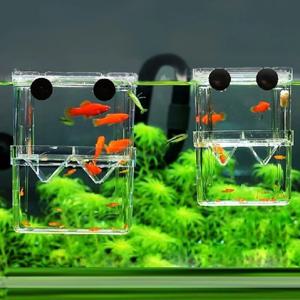 다기능 물고기 수족관 높은 명확한 물고기 번식 격리 상자 수족관 브리더 FishTank 더블 구피 부화 인큐베이터