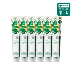 [내일도착]덴티스테 시트러스후레쉬 치약(불소함유) 200g 6개