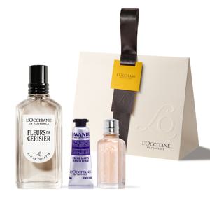 [롯데백화점](기프트) 체리 블라썸 오 드 뚜왈렛 50ml 세트 (+미니향수+미니핸드)