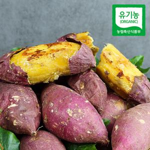무안 황토밭 유기농 꿀고구마 5kg 한입 외