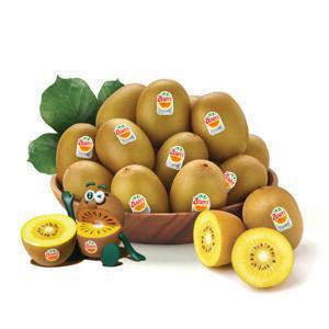 (신선집중) 20%+10%/ 제스프리 골드키위 2.6kg 중대과
