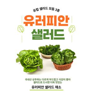 GAP 유러피안 샐러드 쌈채소 샐러드야채 할인행사 중입니다