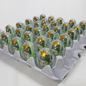 아트박스/제이벌룬 계란한판 이벤트DIY세트[계란판뚜껑+투명에그
