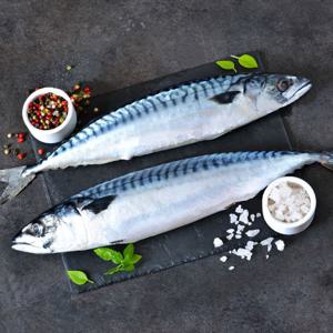 [제주직송/HACCP] 손질된 간고등어 10팩(팩당180g이상/진공포장)