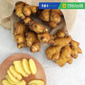 [안동농협] 품질보장 농협 세척 생강 4kg