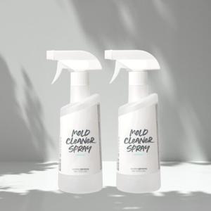 [에코후레쉬] 곰팡이제거제 500ml x 2개 욕실세제 벽지곰팡이 화장실