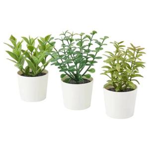 이케아 페이카 인조식물+화분 3종 실내외겸용 허브 11cm