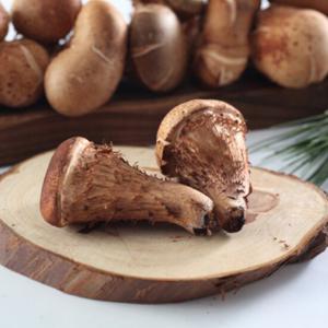 산아래 국내산 무농약 참송이 버섯(가정용) 500g