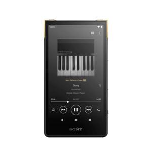 소니 워크맨 NW-ZX707 64GB MP3