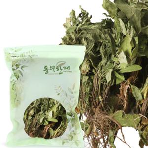 동의한재 최상품 국산 곰보배추 배암차즈기  300g