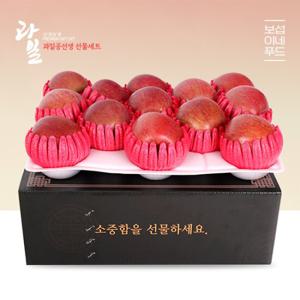 [보섭이네푸드]과일공선생 명품 사과선물세트 3kg(13과 내외)