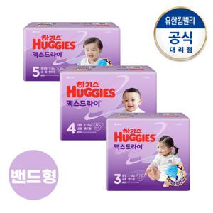 2024 맥스드라이 밴드형 3/4/5단계 1팩구성