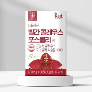 더레드 빨간 20배 고농축 콜레우스 포스콜리 추출 정 빨간통
