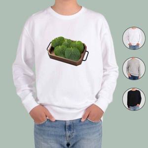 [알티피아]맨투맨 전색상 깻잎 야채 채소 먹거리 VEGETABLE2