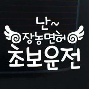 자동차스티커_글씨 난 장농면허 초보운전(화이트)