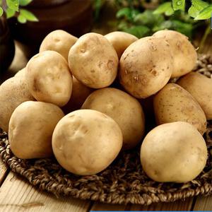 국내산 햇 수미 감자 3kg (중) 60~80g