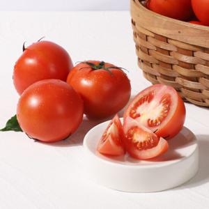 [농협청과33번] 토마토 10kg 3-4번