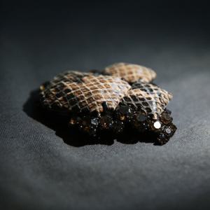 [엔비로라] 자석 브로치 - 럭셔리 브라우니 NBP6019