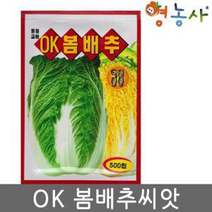 OK 봄배추씨앗 500립 배추씨앗 통 큰 노란 배추 종자