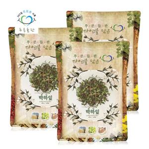 푸른들판 국내산 건조 박하 잎 500gx3봉 차