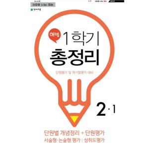 해법 총정리 2-1 (8절) (2019년)