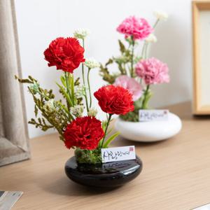 테라 카네이션 화분set 20cm (2컬러) 조화 어버이날 선물 스승의날 감사 꽃