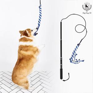 딩동펫 애견장난감 터그 폴