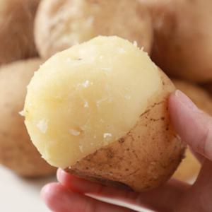 [농협청과33번] 감자 20kg (왕특)-선물고급형/요리용