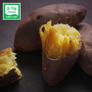 [유기농인증] 무안 특품 꿀밤고구마 5kg